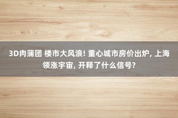 3D肉蒲团 楼市大风浪! 重心城市房价出炉， 上海领涨宇宙， 开释了什么信号?
