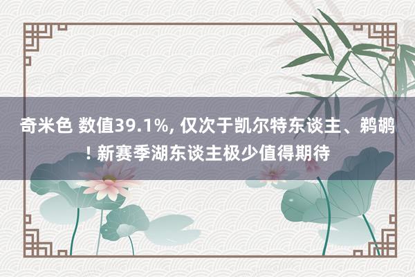 奇米色 数值39.1%, 仅次于凯尔特东谈主、鹈鹕! 新赛季湖东谈主极少值得期待