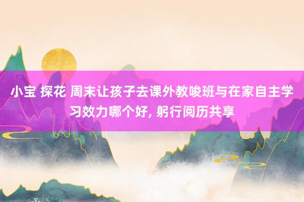 小宝 探花 周末让孩子去课外教唆班与在家自主学习效力哪个好, 躬行阅历共享