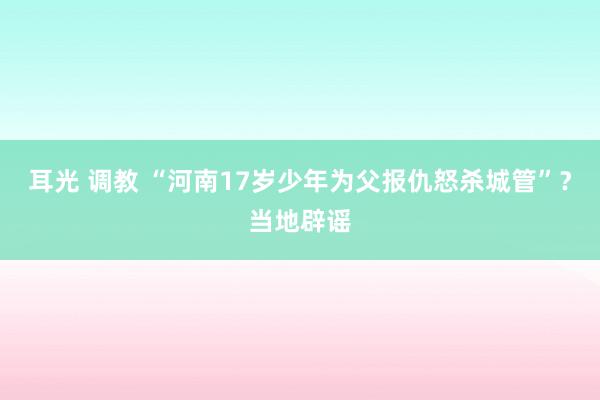 耳光 调教 “河南17岁少年为父报仇怒杀城管”？当地辟谣