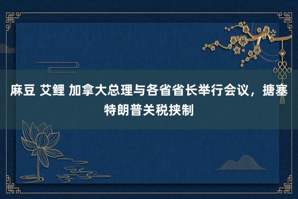 麻豆 艾鲤 加拿大总理与各省省长举行会议，搪塞特朗普关税挟制