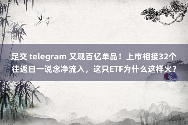 足交 telegram 又现百亿单品！上市相接32个往返日一说念净流入，这只ETF为什么这样火？