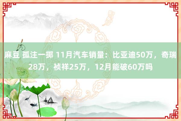 麻豆 孤注一掷 11月汽车销量：比亚迪50万，奇瑞28万，祯祥25万，12月能破60万吗