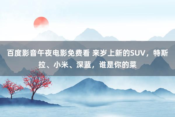 百度影音午夜电影免费看 来岁上新的SUV，特斯拉、小米、深蓝，谁是你的菜