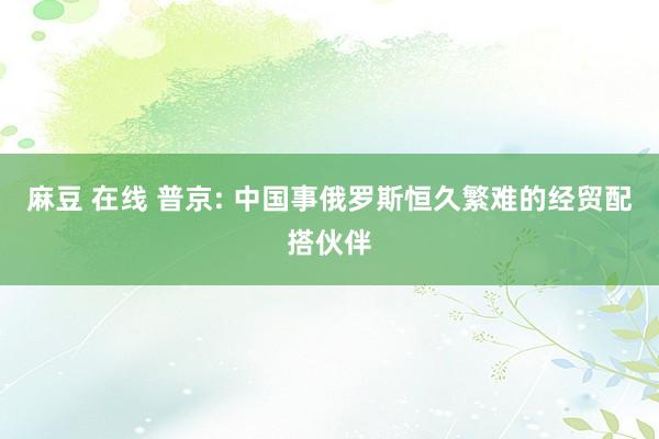 麻豆 在线 普京: 中国事俄罗斯恒久繁难的经贸配搭伙伴