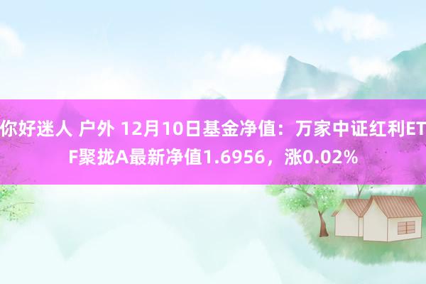 你好迷人 户外 12月10日基金净值：万家中证红利ETF聚拢A最新净值1.6956，涨0.02%