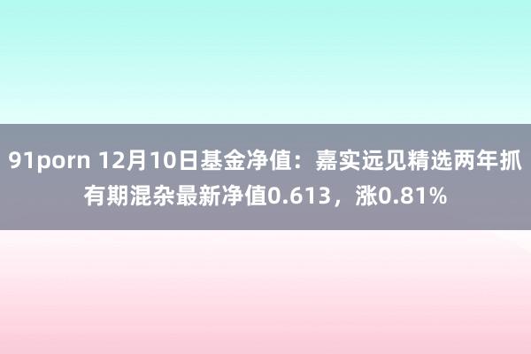 91porn 12月10日基金净值：嘉实远见精选两年抓有期混杂最新净值0.613，涨0.81%