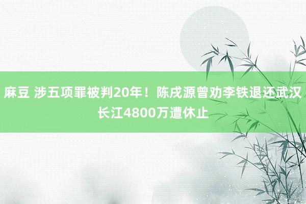 麻豆 涉五项罪被判20年！陈戌源曾劝李铁退还武汉长江4800万遭休止