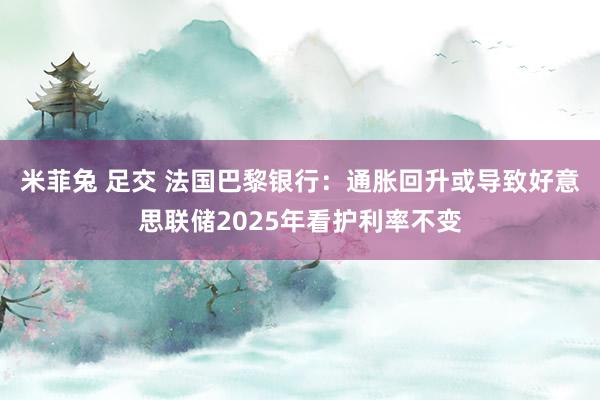 米菲兔 足交 法国巴黎银行：通胀回升或导致好意思联储2025年看护利率不变