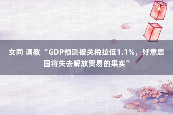 女同 调教 “GDP预测被关税拉低1.1%，好意思国将失去解放贸易的果实”