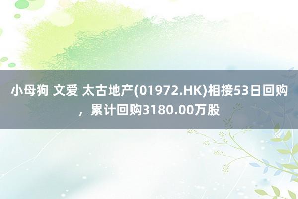小母狗 文爱 太古地产(01972.HK)相接53日回购，累计回购3180.00万股