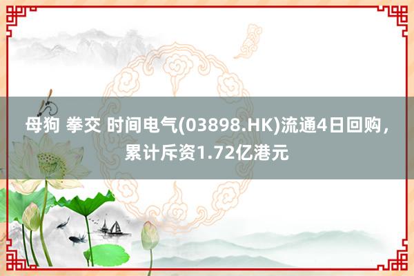 母狗 拳交 时间电气(03898.HK)流通4日回购，累计斥资1.72亿港元