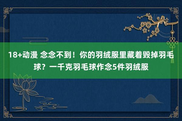 18+动漫 念念不到！你的羽绒服里藏着毁掉羽毛球？一千克羽毛球作念5件羽绒服