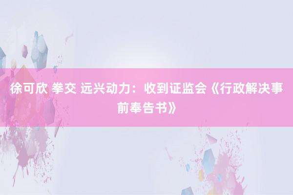 徐可欣 拳交 远兴动力：收到证监会《行政解决事前奉告书》