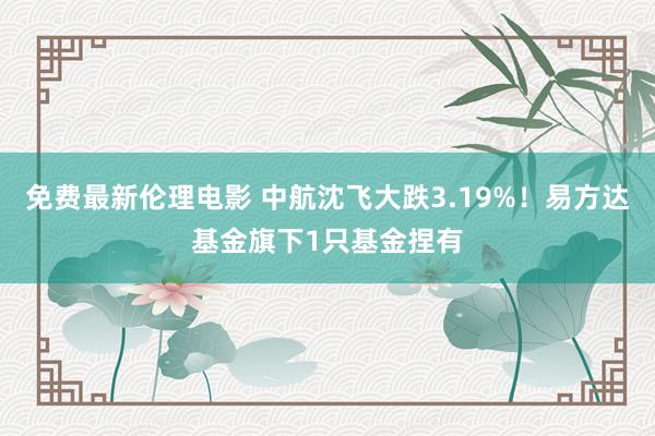 免费最新伦理电影 中航沈飞大跌3.19%！易方达基金旗下1只基金捏有