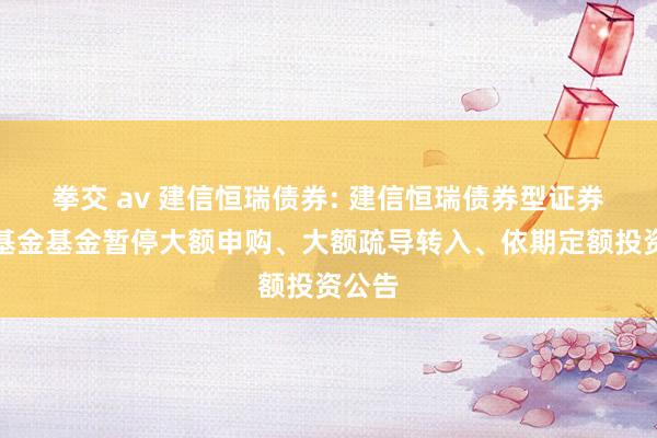 拳交 av 建信恒瑞债券: 建信恒瑞债券型证券投资基金基金暂停大额申购、大额疏导转入、依期定额投资公告