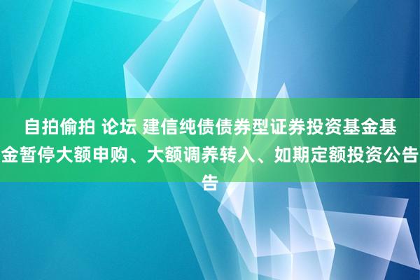自拍偷拍 论坛 建信纯债债券型证券投资基金基金暂停大额申购、大额调养转入、如期定额投资公告