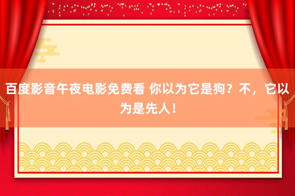 百度影音午夜电影免费看 你以为它是狗？不，它以为是先人！