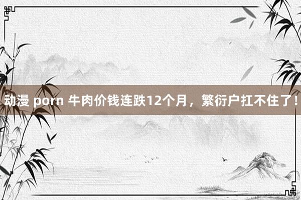 动漫 porn 牛肉价钱连跌12个月，繁衍户扛不住了！