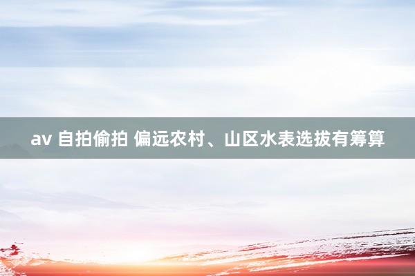 av 自拍偷拍 偏远农村、山区水表选拔有筹算