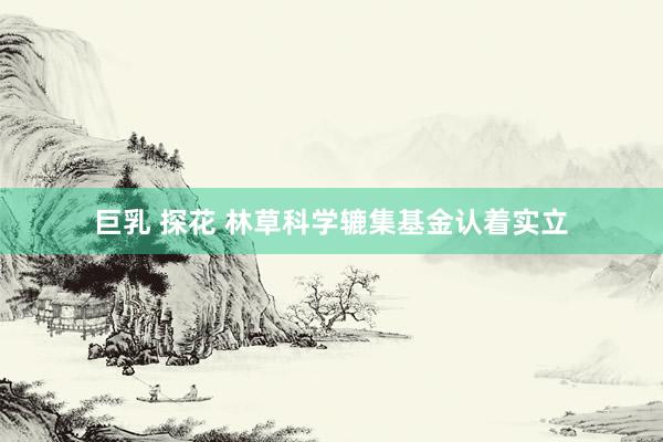 巨乳 探花 林草科学辘集基金认着实立