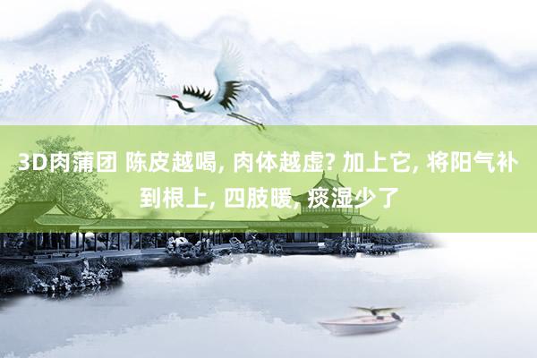 3D肉蒲团 陈皮越喝, 肉体越虚? 加上它, 将阳气补到根上, 四肢暖, 痰湿少了