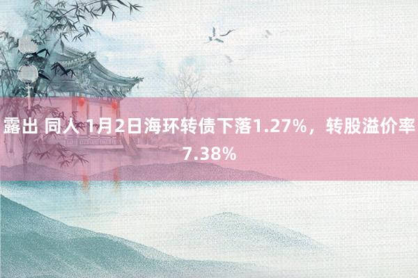 露出 同人 1月2日海环转债下落1.27%，转股溢价率7.38%