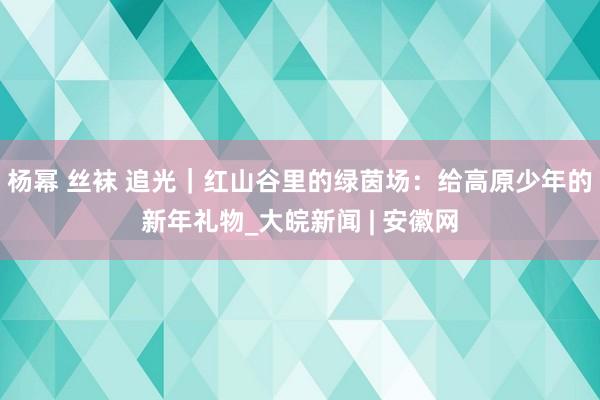 杨幂 丝袜 追光｜红山谷里的绿茵场：给高原少年的新年礼物_大皖新闻 | 安徽网