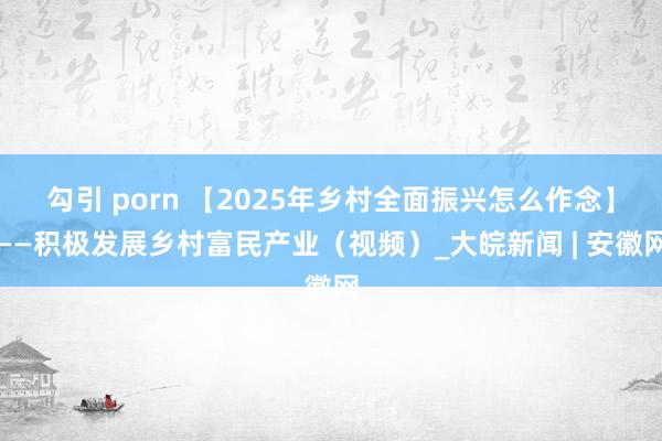 勾引 porn 【2025年乡村全面振兴怎么作念】——积极发展乡村富民产业（视频）_大皖新闻 | 安徽网