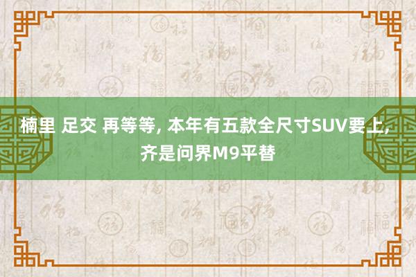 楠里 足交 再等等, 本年有五款全尺寸SUV要上, 齐是问界M9平替