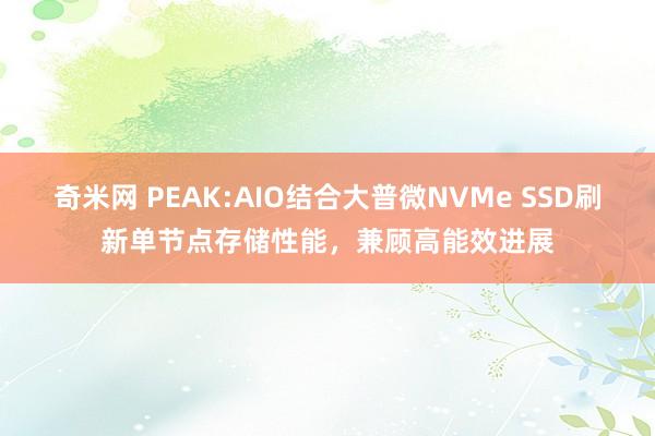 奇米网 PEAK:AIO结合大普微NVMe SSD刷新单节点存储性能，兼顾高能效进展