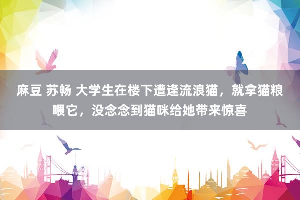 麻豆 苏畅 大学生在楼下遭逢流浪猫，就拿猫粮喂它，没念念到猫咪给她带来惊喜