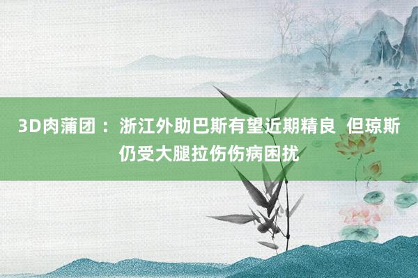 3D肉蒲团 ：浙江外助巴斯有望近期精良  但琼斯仍受大腿拉伤伤病困扰