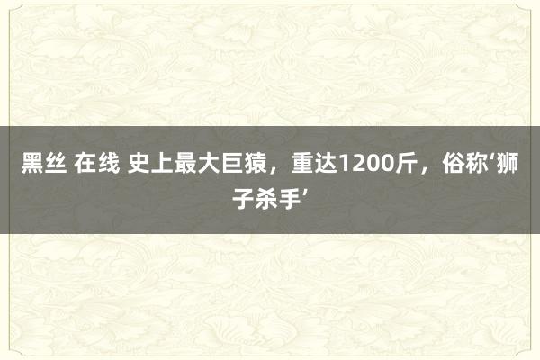 黑丝 在线 史上最大巨猿，重达1200斤，俗称‘狮子杀手’
