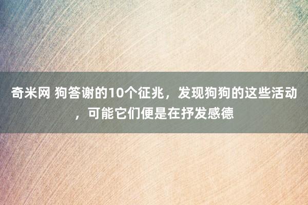 奇米网 狗答谢的10个征兆，发现狗狗的这些活动，可能它们便是在抒发感德