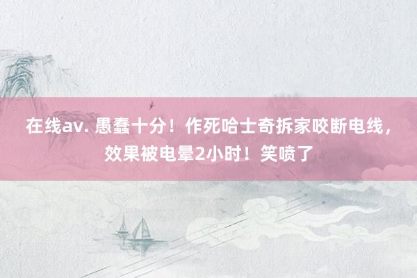 在线av. 愚蠢十分！作死哈士奇拆家咬断电线，效果被电晕2小时！笑喷了