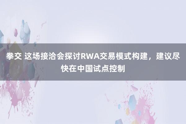 拳交 这场接洽会探讨RWA交易模式构建，建议尽快在中国试点控制