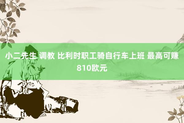 小二先生 调教 比利时职工骑自行车上班 最高可赚810欧元