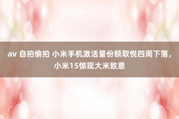 av 自拍偷拍 小米手机激活量份额取悦四周下落，小米15惊现大米致意