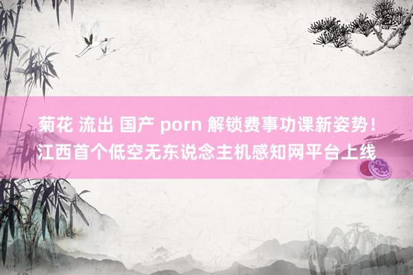 菊花 流出 国产 porn 解锁费事功课新姿势！江西首个低空无东说念主机感知网平台上线