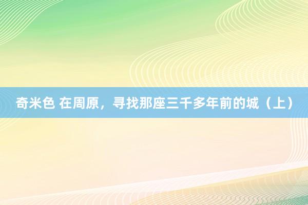 奇米色 在周原，寻找那座三千多年前的城（上）