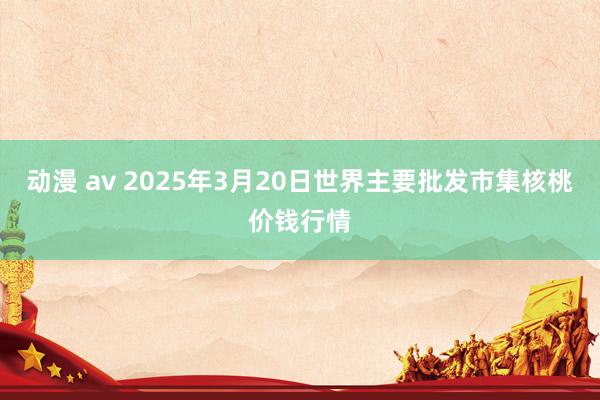 动漫 av 2025年3月20日世界主要批发市集核桃价钱行情