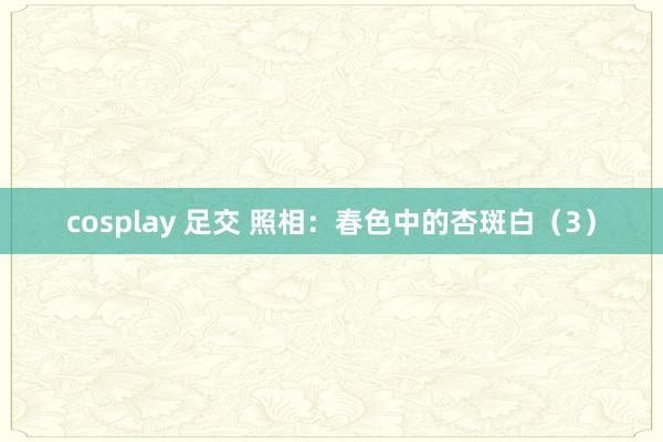 cosplay 足交 照相：春色中的杏斑白（3）