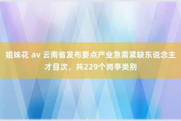 姐妹花 av 云南省发布要点产业急需紧缺东说念主才目次，共229个岗亭类别
