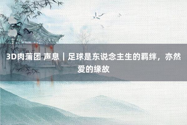3D肉蒲团 声息｜足球是东说念主生的羁绊，亦然爱的缘故