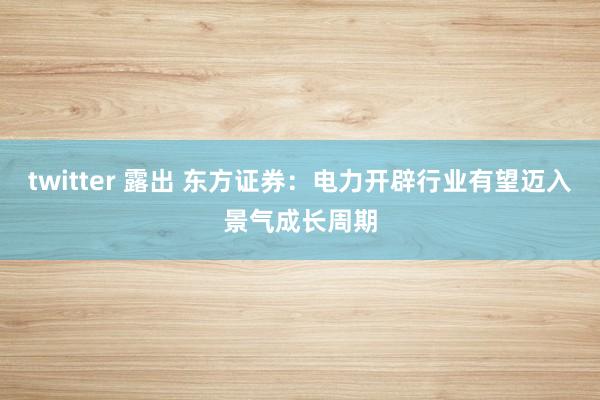 twitter 露出 东方证券：电力开辟行业有望迈入景气成长周期