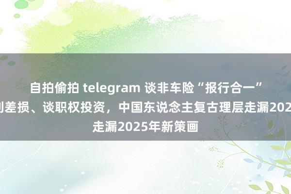 自拍偷拍 telegram 谈非车险“报行合一”、谈寿险利差损、谈职权投资，中国东说念主复古理层走漏2025年新策画