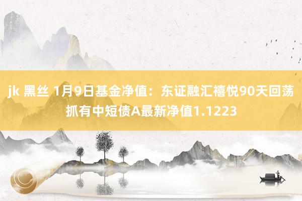 jk 黑丝 1月9日基金净值：东证融汇禧悦90天回荡抓有中短债A最新净值1.1223