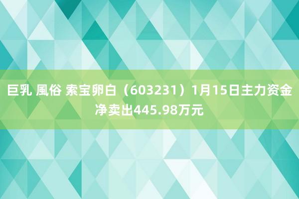 巨乳 風俗 索宝卵白（603231）1月15日主力资金净卖出445.98万元