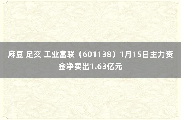 麻豆 足交 工业富联（601138）1月15日主力资金净卖出1.63亿元